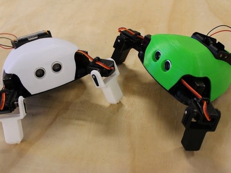 Proyecto Critter: Te decimos como hacer este divertido robot  | tecno4 | Scoop.it