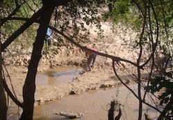 KENYA: Like a Fish Belongs to Water, the Ogiek Belong to the Mau Forest | BIODIVERSITY IS LIFE  &ndash; | Scoop.it