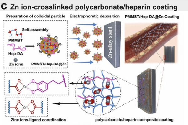 Biodegradable Zn-Based Implants: Progress, Challenges, and Pathways toward Clinical Translation | Interventional Cardiology | Scoop.it