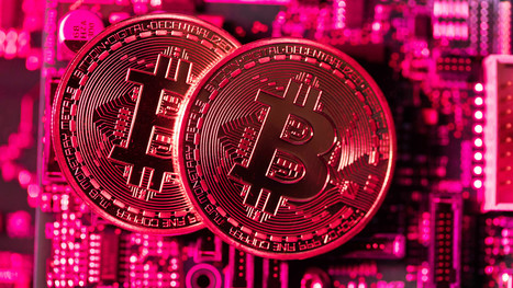 What is the bitcoin halving and which day does it happen? | Cryptocurrencies and NFT Report | Scoop.it