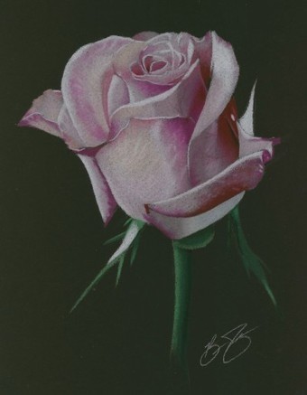 How To Draw A Rose | Drawing and Painting Tutorials | Scoop.it