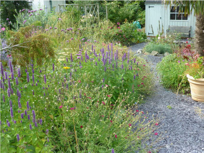 Making a garden; Cynefin, Design, Emergence | Art of Hosting | Scoop.it