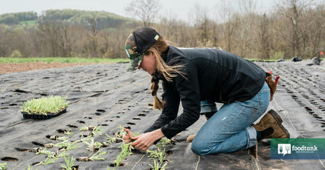 New and YOUNG FARMERS Increasing, According to Agriculture Census | CIHEAM Press Review | Scoop.it