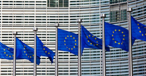 Towards an EU mandatory due diligence & corporate accountability law | Responsible Sourcing | Scoop.it
