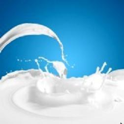 Avancées dans la connaissance des déterminants génétiques et alimentaires sur la composition des laits : des nouvelles pistes de compétitivité ? | SCIENCES DE L' ANIMAL | Scoop.it