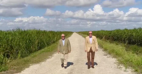 Sockerindustrin en maktfaktor i USA &ndash; har Trumps st&ouml;d | 1Uutiset - Lukemisen t&auml;hden | Scoop.it