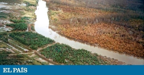 El agente naranja sigue pudriendo los suelos de Vietnam 50 años después | Ciencia | Educación, TIC y ecología | Scoop.it