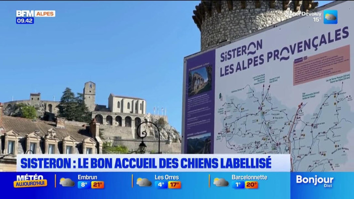 Sisteron : l'Office de tourisme d&eacute;croche le label "Toutourisme" | Observations, chiffres cl&eacute;s, fiches march&eacute;s, &eacute;tudes et tendances | Scoop.it