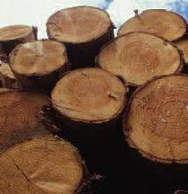 Le RBUE entre en vigueur ce 3 mars 2013 - Actualités News Environnement | Ecosystèmes Tropicaux | Scoop.it