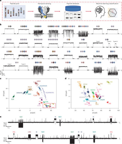 High-resolution nanopore peptide sensing, profiling and sequence assembly | Nnano | RMH | Scoop.it