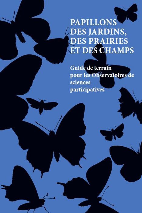 Découvrez le guide de terrain sur les papillons de jour | Variétés entomologiques | Scoop.it