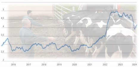 Quel sera le prix d'une vache laitière de réforme ? | Lait de Normandie... et d'ailleurs | Scoop.it