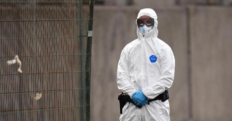 The Hantavirus Outbreak Is Resurrecting Covid-Era Misinformation Tactics | George Niles Mekeel | H&eacute;sitations Vaccinales: Observatoire HESIVAXs | Scoop.it