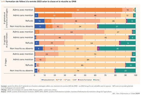 Devenir des &eacute;l&egrave;ves de troisi&egrave;me en fonction de leurs r&eacute;sultats au DNB | Veille &eacute;ducative et p&eacute;dagogique - Mongazon | Scoop.it