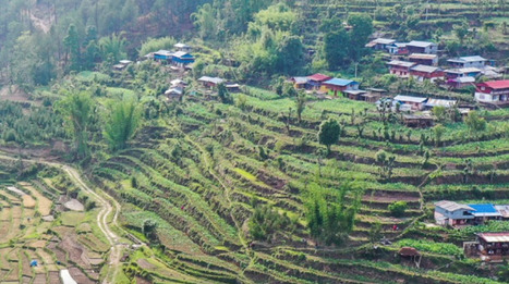 Adaptation Gap Report 2025 | International development | Scoop.it