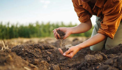 Les Alchimistes valorisent vos d&eacute;chets alimentaires - Futura Sciences | Pour innover en agriculture | Scoop.it