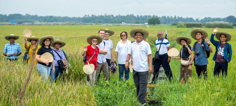 Announcing the Southeast Asia Regional SRI Network | SRI Global News: February - April 2024 **sririce -- System of Rice Intensification | Scoop.it