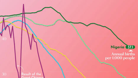 How Birth Rates are Falling in the World’s Six Largest Countries - Voronoi | SoRo class | Scoop.it