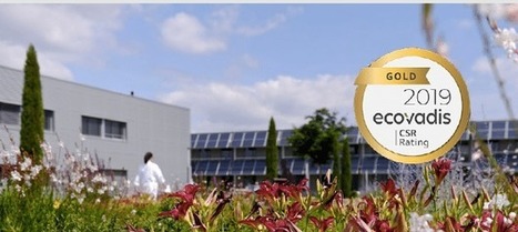 Gattefossé obtient le statut OR sur EcoVadis | Témoignages Clients EcoVadis | Scoop.it