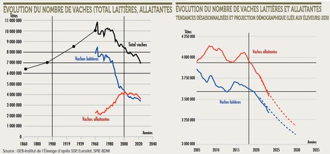 Une décapitalisation qui s’accélère : chronique d’une érosion depuis 2010 | Lait de Normandie... et d'ailleurs | Scoop.it