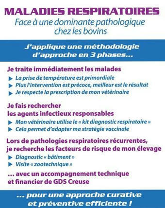 Les maladies respiratoires chez les jeunes bovins | Actualités de l'élevage | Scoop.it