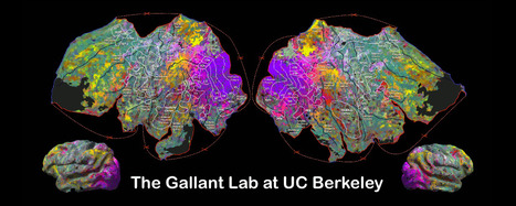 Gallant Lab at UC Berkeley | Digital Delights | Scoop.it