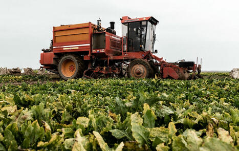 R&eacute;mun&eacute;rer les agriculteurs pour leurs pratiques vertueuses, le pari gagnant d'Eau de Paris | Energy Transition in Europe | www.energy-cities.eu | Scoop.it