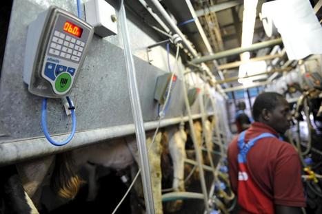 Contrôle laitier : Davantage de lait par animal | Lait de Normandie... et d'ailleurs | Scoop.it