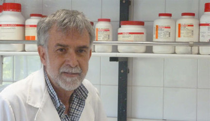 Ignacio Morgado: "La lectura activa casi todas las regiones cerebrales" | NeuroPsicoEducación al Día | Scoop.it