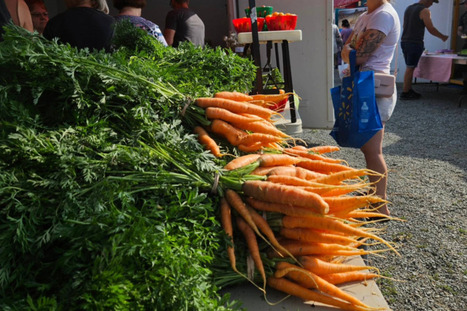 Des l&eacute;gumes du Bas-Saint-Laurent dans les institutions publiques | Un projet pilote concluant | Revue de presse La Matanie | Scoop.it