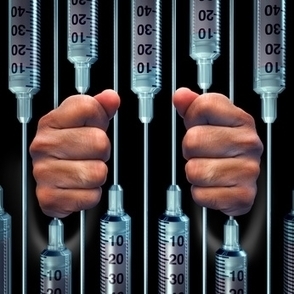 Vers le suicide assisté dans les prisons suisses : autodétermination ou désespoir ? - Institut Européen de Bioéthique | Dépendance et fin de vie | Scoop.it