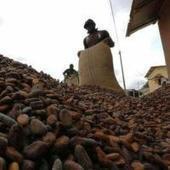 Africa needs to make agriculture create wealth not just food | Food & Nutrition Security in East Africa | Scoop.it