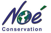 Noé Conservation recrute ! | Variétés entomologiques | Scoop.it