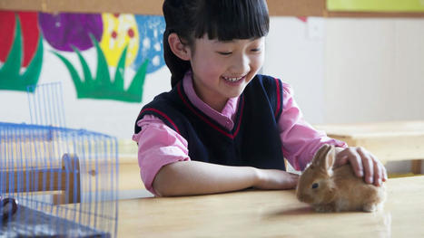 Beneficios de los animales en la escuela | Bichos en Clase | Scoop.it