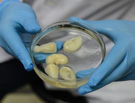 Top 5 : les impressions 3D les plus folles | Veille sur les technologies d'impression 3D | Scoop.it