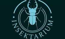 Le site de Lucyna Bugiera | Insect Archive | Scoop.it