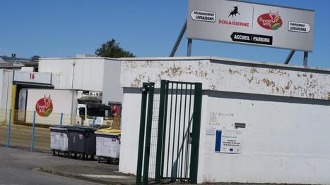 Douai: le Covid-19 ne franchit pas les portes de l’abattoir | La Gazette des abattoirs | Scoop.it