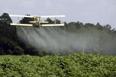 The EPA may deploy AI to regulate toxic chemicals. It&rsquo;s not telling the public. | by&nbsp;Aaron Glantz & Story Hinckley&nbsp;| CSMonitor.com | @The Convergence of ICT, the Environment, Climate Change, EV and HEV Transportation & Distributed Renewable Energy | Scoop.it