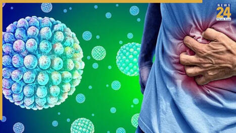 What is Norovirus? Caribbean Princess cruise ship outbreak raises global concern; Know symptoms and prevention tips | George Niles Mekeel | H&eacute;sitations Vaccinales: Observatoire HESIVAXs | Scoop.it