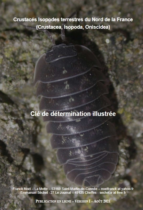 Ressources & Outils du GRETIA : Cloportes du Nord de la France | Insect Archive | Scoop.it