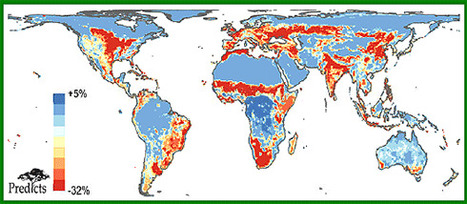 Major study shows biodiversity losses can be reversed | Biodiversité | Scoop.it