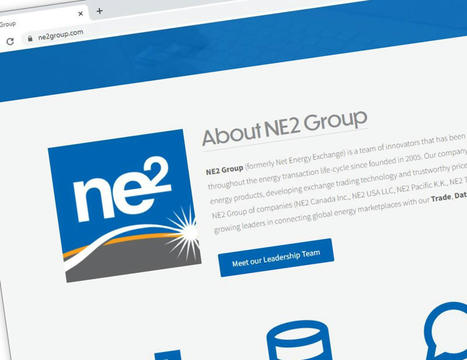 Calgary Oil Firm NE2 Hit by Lawsuit for Violence, Bullying Allegations - Bloomberg | Operation Oya | Scoop.it