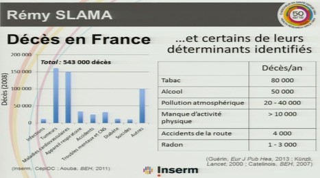 Pollution atmosphérique : entre 20.000 et 40.000 décès en France (+vidéo) | Public Health - Santé Publique | Scoop.it