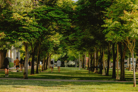 Le sol et les villes : vers une r&eacute;conciliation pour le vivant | Veille UrbaLyon : Planification urbaine -  Plan local d'urbanisme | Scoop.it