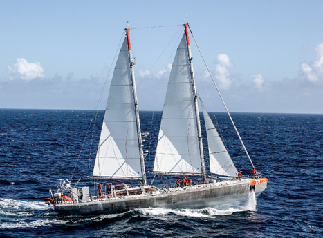 Eric Karsenti, m&eacute;daille d'or du CNRS pour l'exp&eacute;dition Tara Oceans | EntomoScience | Scoop.it