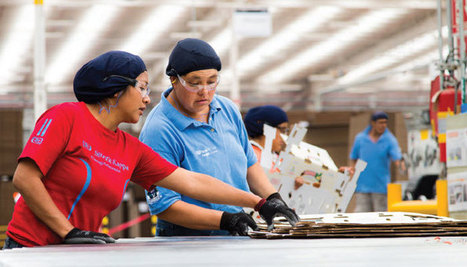 Smurfit Kappa in top 1 per cent of Ecovadis worldwide sustainability ratings | EcoVadis Customer Success Stories | Scoop.it