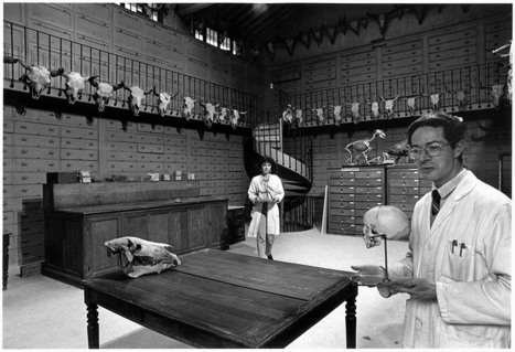Quand Robert Doisneau r&ocirc;dait dans le Mus&eacute;um d'histoire naturelle | Merveilles - Marvels | Scoop.it