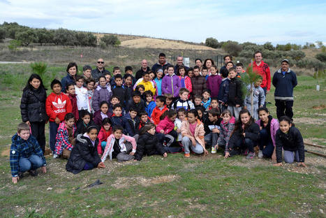 8.000 árboles en 8 años para compensar las emisiones de CO2 | Ordenación del Territorio | Scoop.it