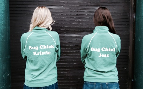 The Bug Chicks | For Parents, Teachers & Bugdorks | Rainforest CLASSROOM | Scoop.it