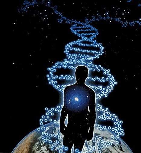 The algorithmic origins of life | Science News | Scoop.it